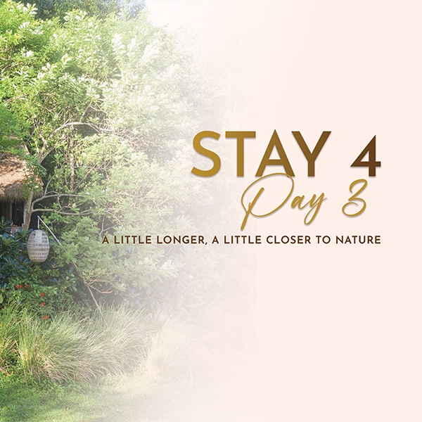 stay-4-pay-3
